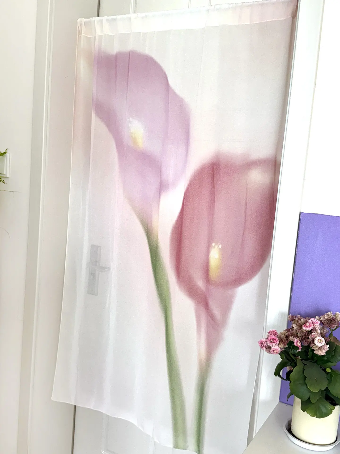 Transparente Chiffon-Gardinen mit Traumhaften Hufeisenblumen-Mustern für Balkon und Fenster, Schwebende Weiße Orchideen-Dekoration