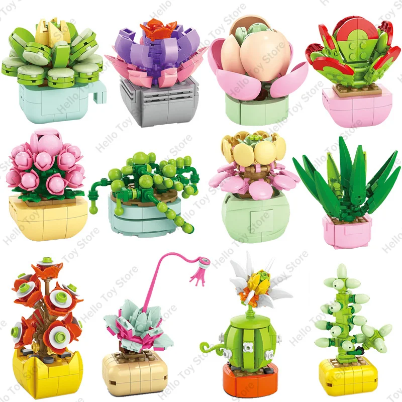 Décennie s de construction en pot de fleurs succulentes pour la décoration de la maison, modèle de bouquet éternel, briques de petite plante, jouets