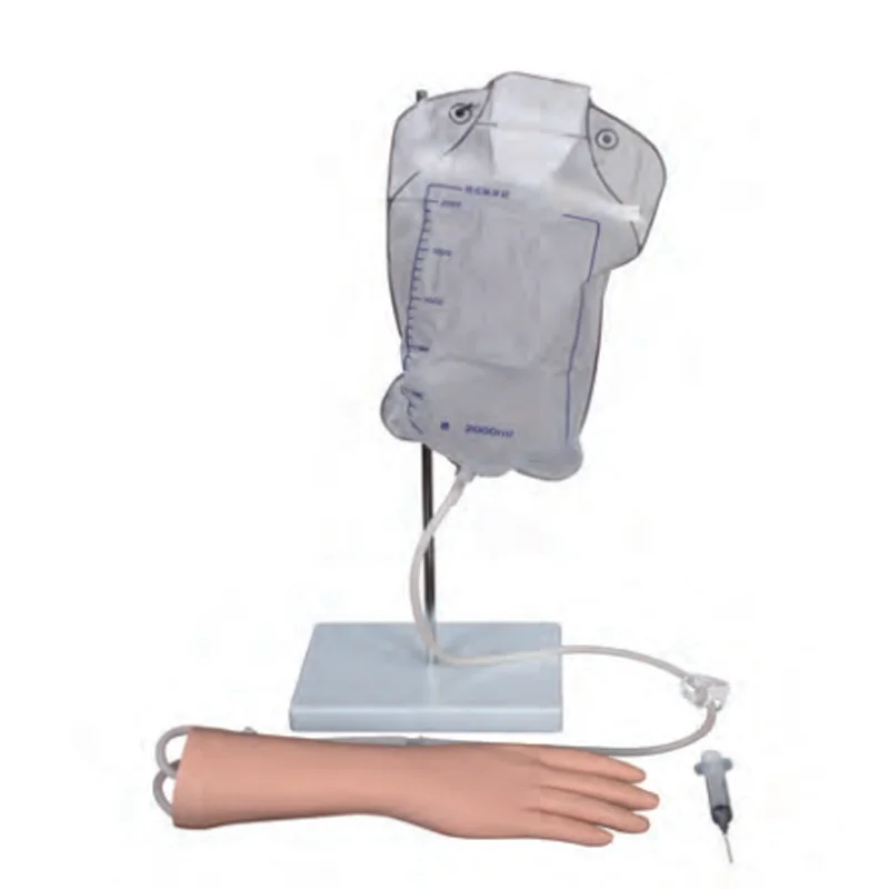 Medical Education Injection Training Hand Venipuncture