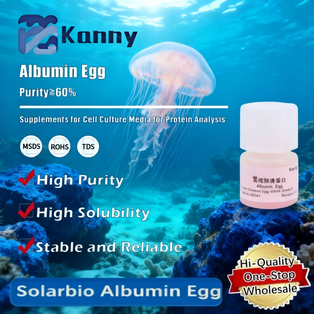 Albumin Egg for Biochemical Research and Laboratory Applications Original Product
