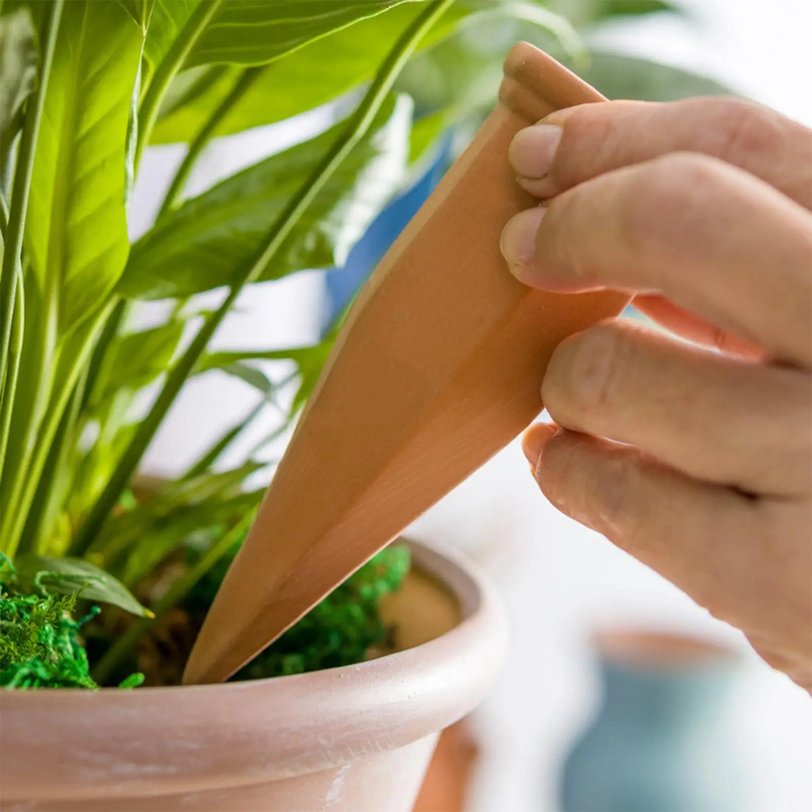 

Автоматические колышки для полива (4 шт.), автоматические капельные оросители, втыкаемые в грунт, портативные, для вертикального садоводства