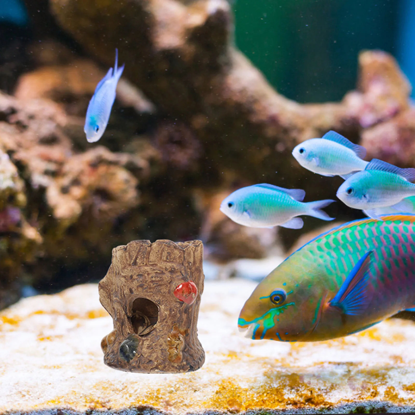 

Delicate Aquarium Cave Clay Fish Shelter Realistic Decor for Nature Inspired Tank Premium Abrasion Resistant Submersible