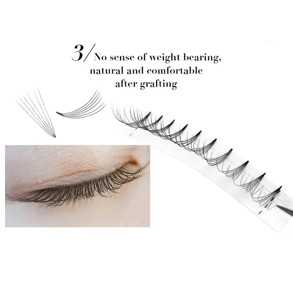 เครื่องมือแต่งหน้าตา 120 กลุ่ม C/D Curl Soft 6D ขนตาธรรมชาติรัสเซีย