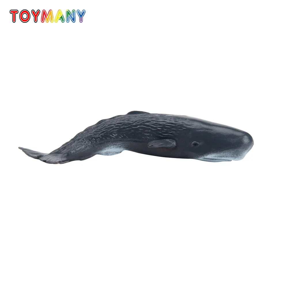 Toymany symulacja wieloryb jajoczątka Ocean Model zwierzęcia zabawki figurki do miniatur lalki figurki zabawki dla dzieci prezent narzędzie do dekoracji ciast