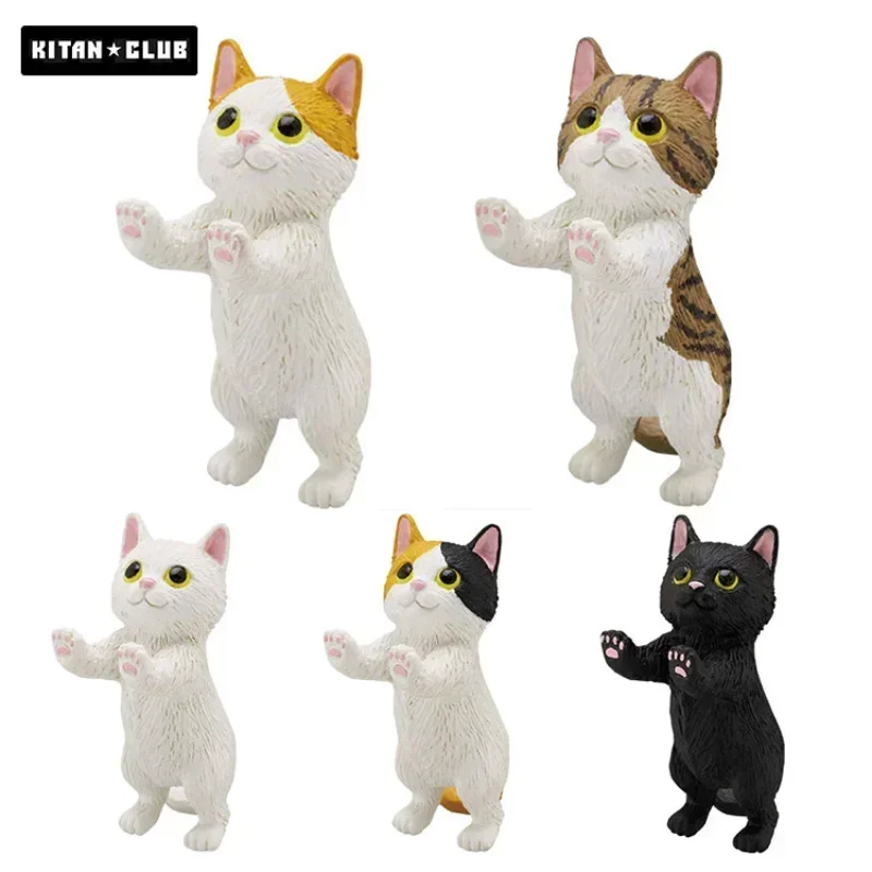 

Original Genuine Kitan Gashapon Capsule Toys Figure Cute Bunny Stand Cat Mini Animal Action Figure Figurine Anime Creative Gift