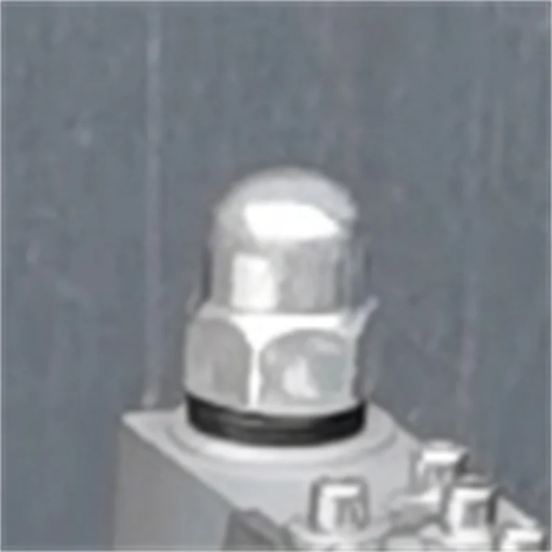 Chicken Pork Breast… - image