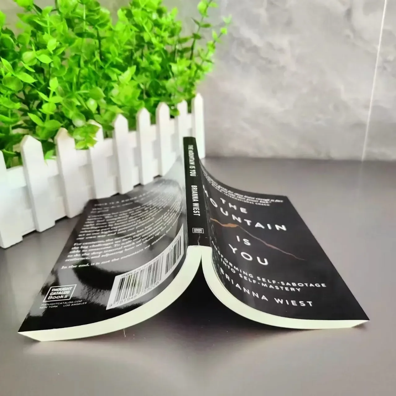 

Трансформирующиеся самоуправляются на английские книги «Самомасленные»The Mountain Is You: английская версия Турбалентного года