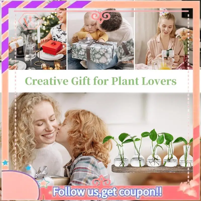 Upgraded Propagation Station Glass Vases Decoration: 5 Plants Terrarium With White Washed Wooden Tray For Living Room Office