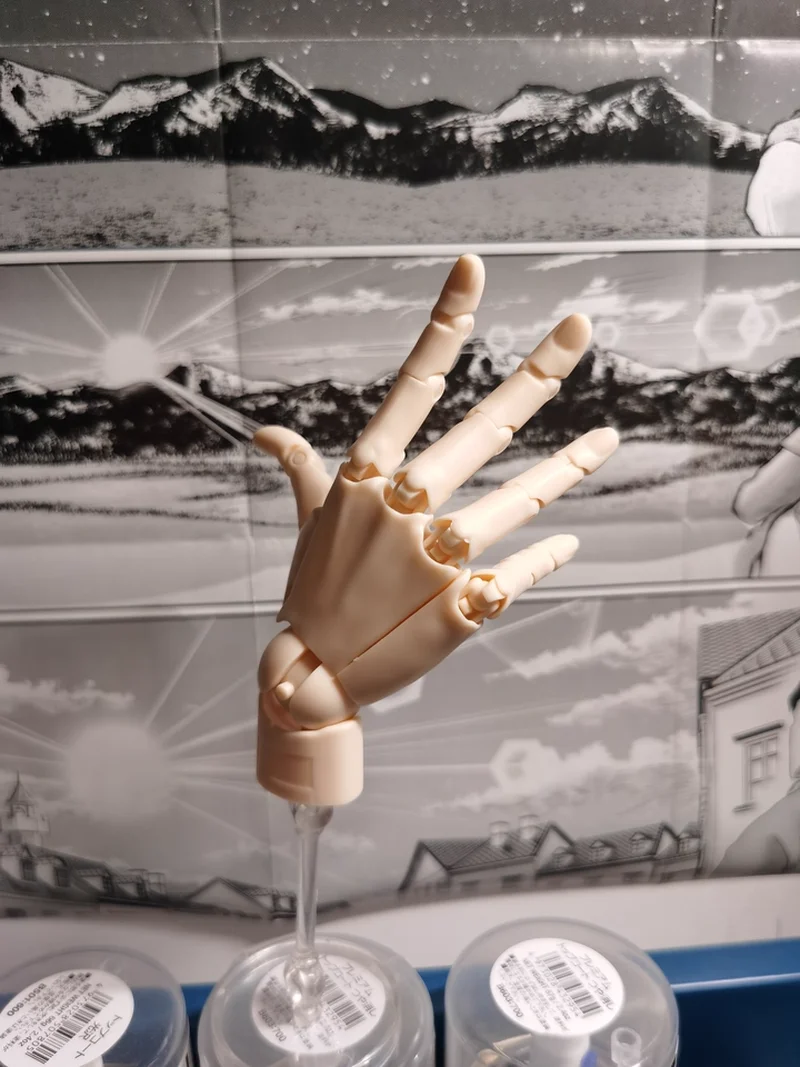 ミニチュア 1/2 スケール ブラインドボックス パームモデル 超可動指関節ハンドモデル 描画・スケッチ用 標準右手おもちゃ