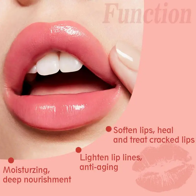 Natural Hidratante Lip Plumper, Brilho labial com extratos de hortelã Gengibre, Vitamina E, Reduzindo Fine