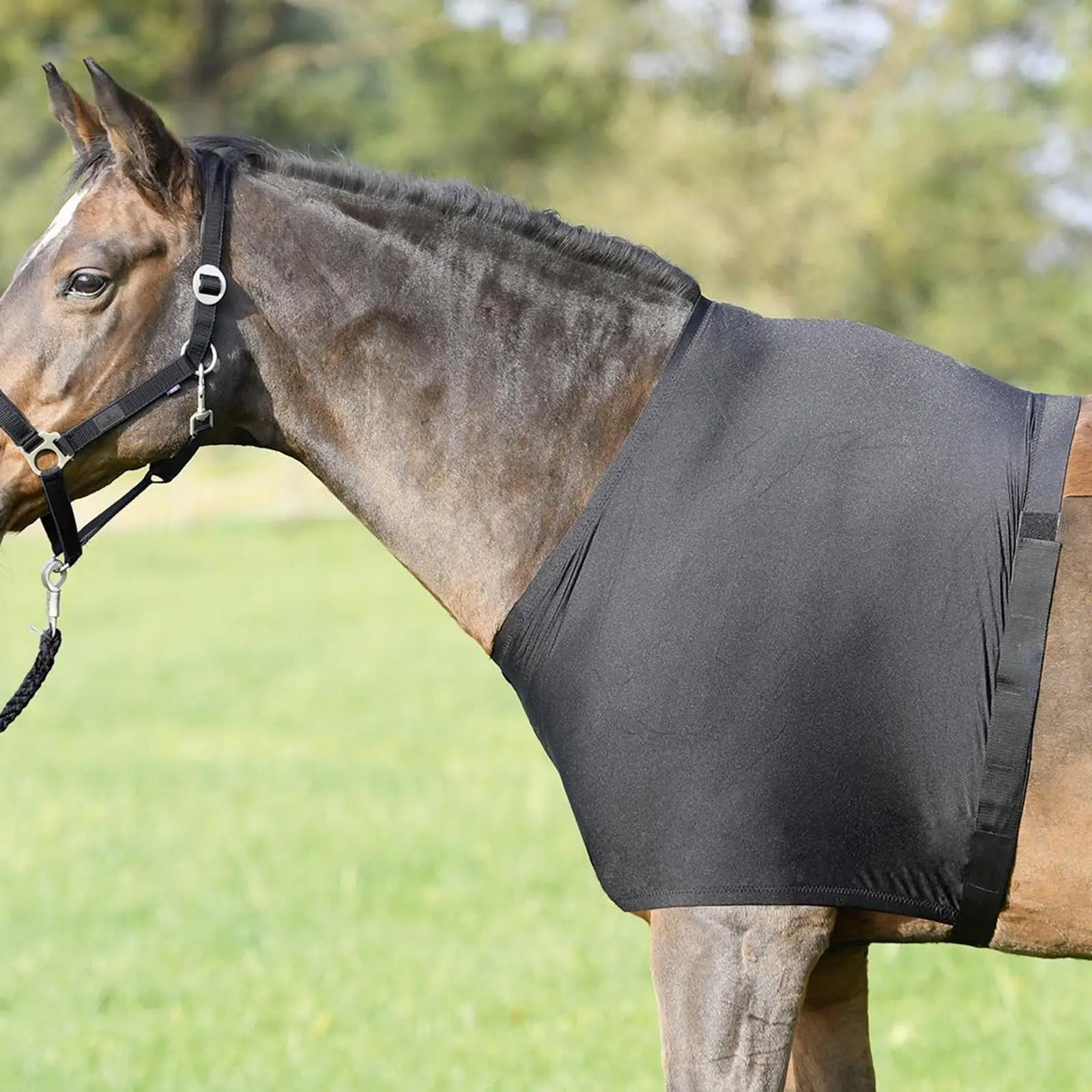 Horse Accessory Blanket Shoulder Guard High Elastic Spandex Fabric Anti Slip Neck Chest Protector Vest for Horse Riding