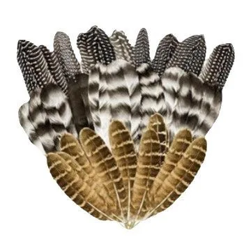 10 قطعة/المزيد من عرض الحفلة الراقصة المنصة زخارف للحانات ريشة النار قطعة ريشة وشاح كرنفال الهالوين #5