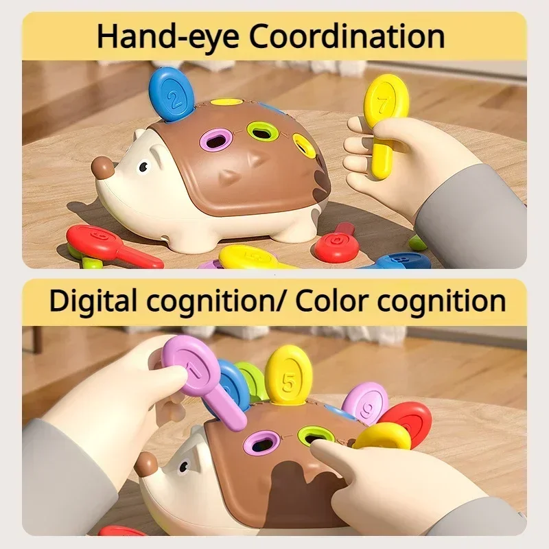 Montessori ของเล่นเพื่อการศึกษา Fine มอเตอร์ของเล่นสําหรับเด็กวัยหัดเดิน 1-3 Hedgehog การเรียนรู้การนับ & Sorting Development Sensory ของขวัญ