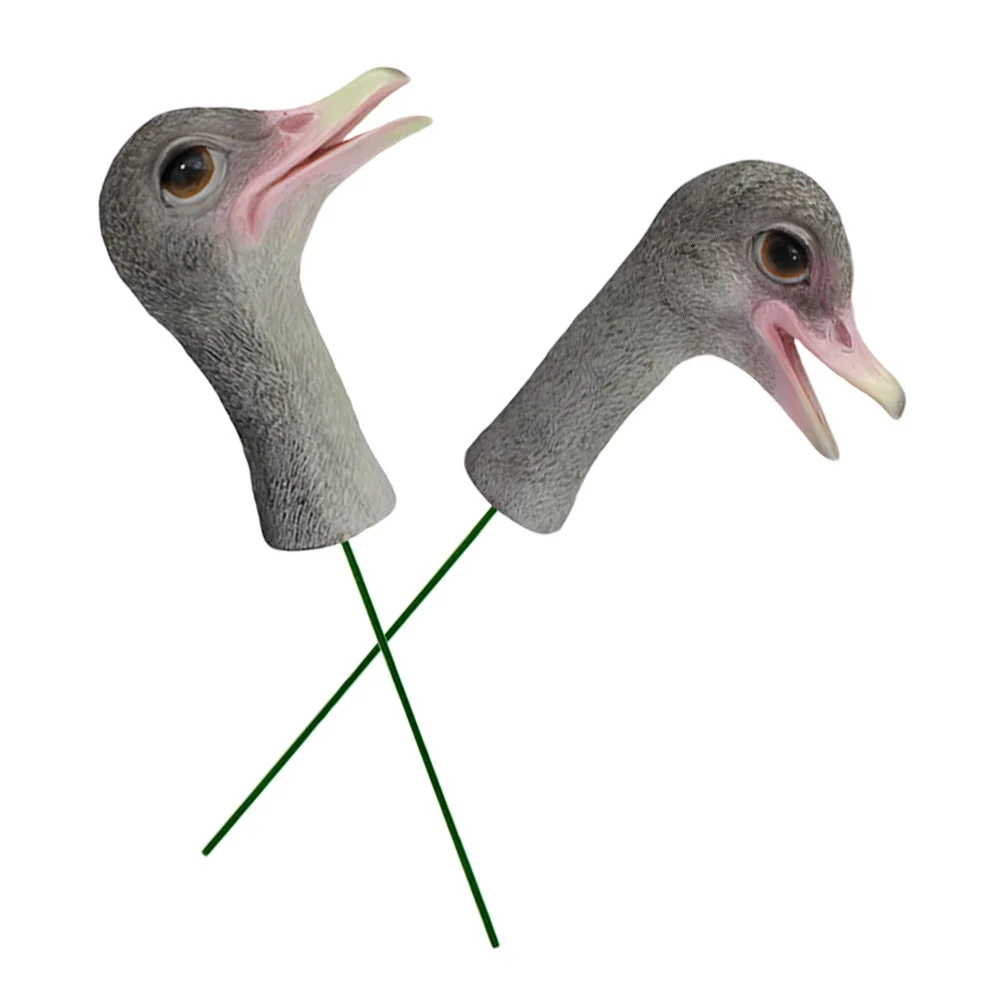 

2pcs Resin Head Decor Realistic Garden Sculpture Home Home Ostrich Head Ornaments Office Desktop Decoration Craft Ornament