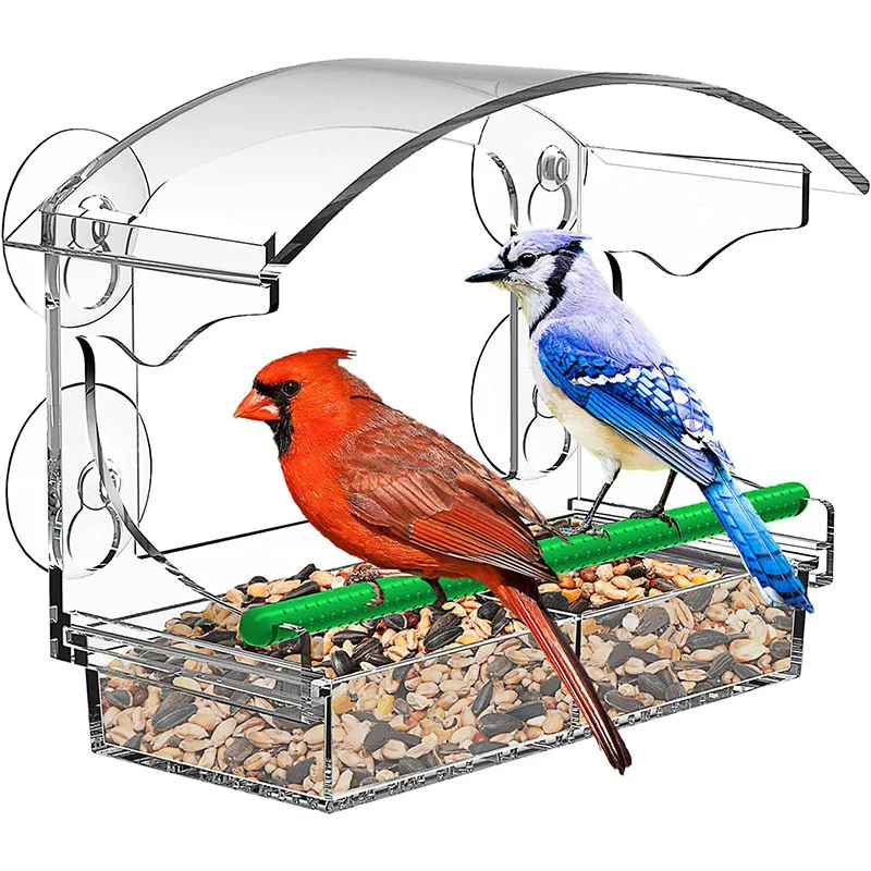 #5 Compare Birdhouses Before You Buy
