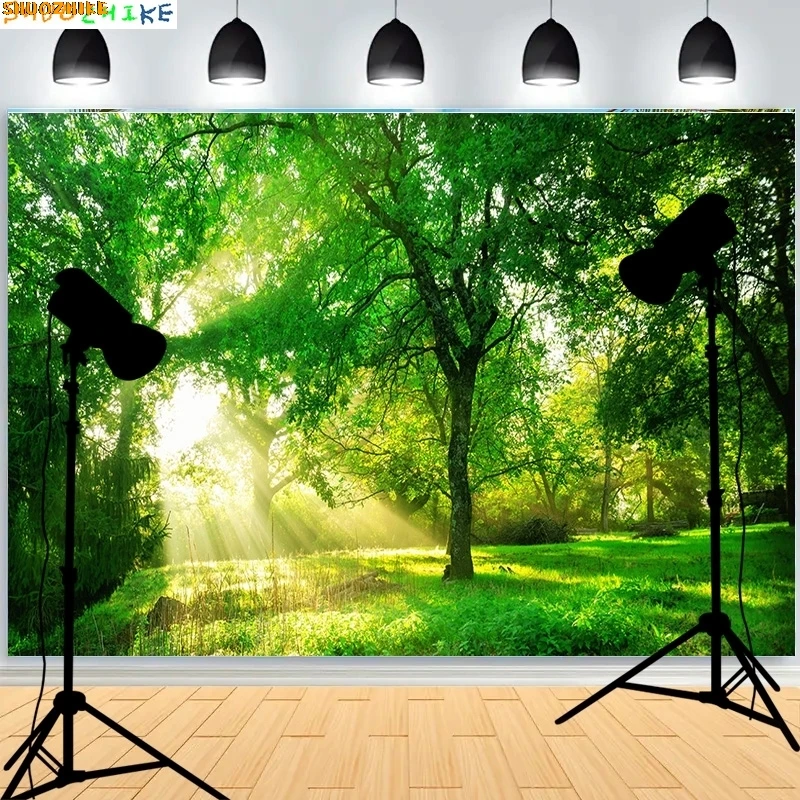 

Snow Winter Forest Photography Backdrops Shrubbery Nature Scenery Ferns In Tropical Rainforest Photo Studio Background RR-02