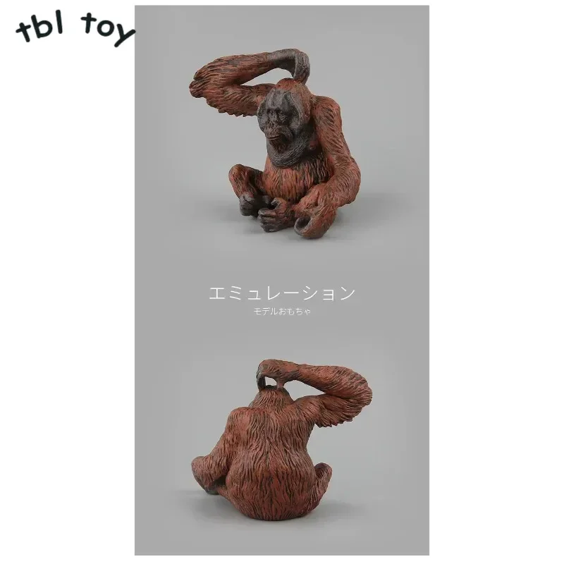 1/6 Scale Resin Simulation Red Orangutan Sitting Scratching Head Animal Doll for Action Figures Ornament Collection