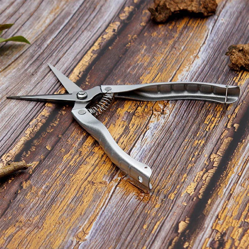 Professional Grade Stainless Steel Gardening Pruning Shears Sharp Precision Cutting Tool for Branches Hedges Orchards Small