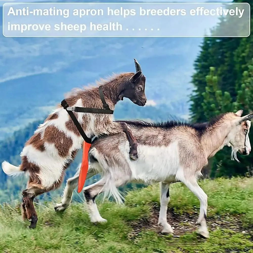 

Adjustable Strap Goats Anti Breeding Apron Wear Resistant Easy to Install Breeding Control Goats Skirt Breathable Portable