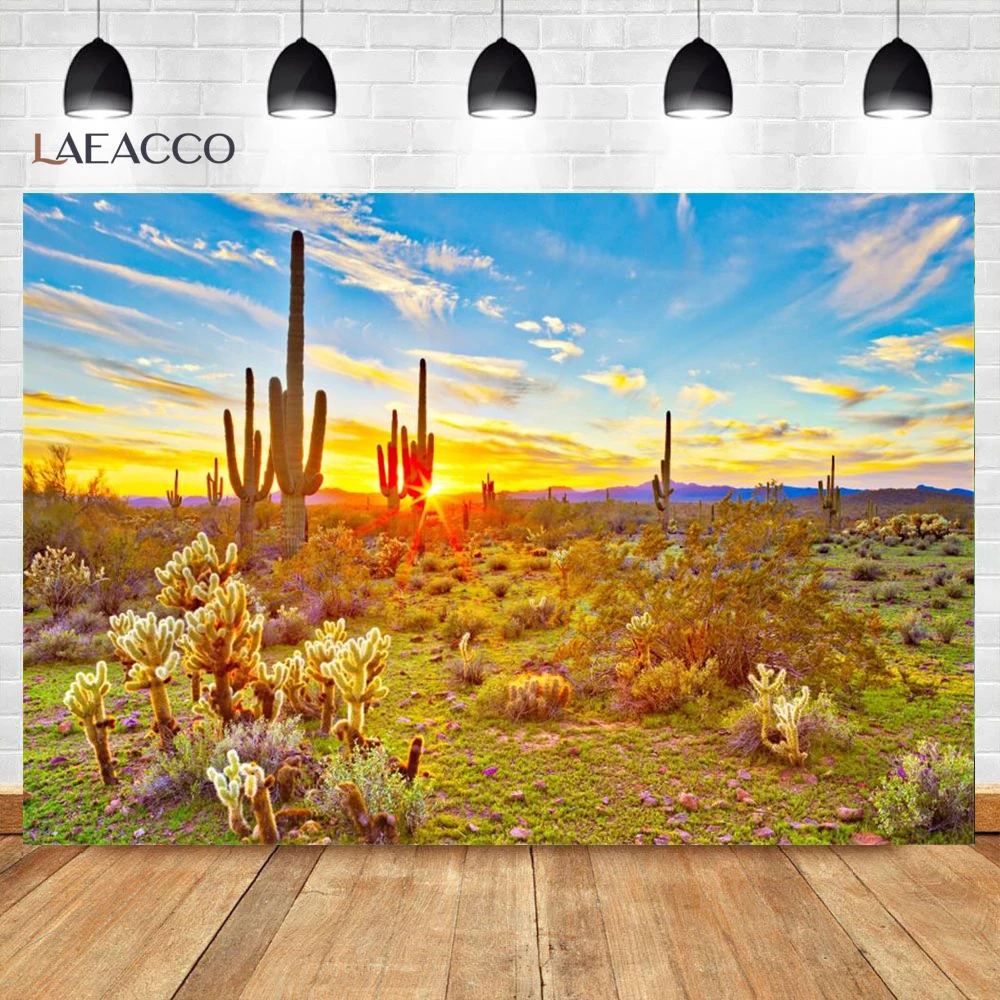 

Laeacco Natural Backdrops Desert Cactus Stone Piled Shrub Plant Cloud Scenic Photographic Backgrounds Photocall Photo Studio