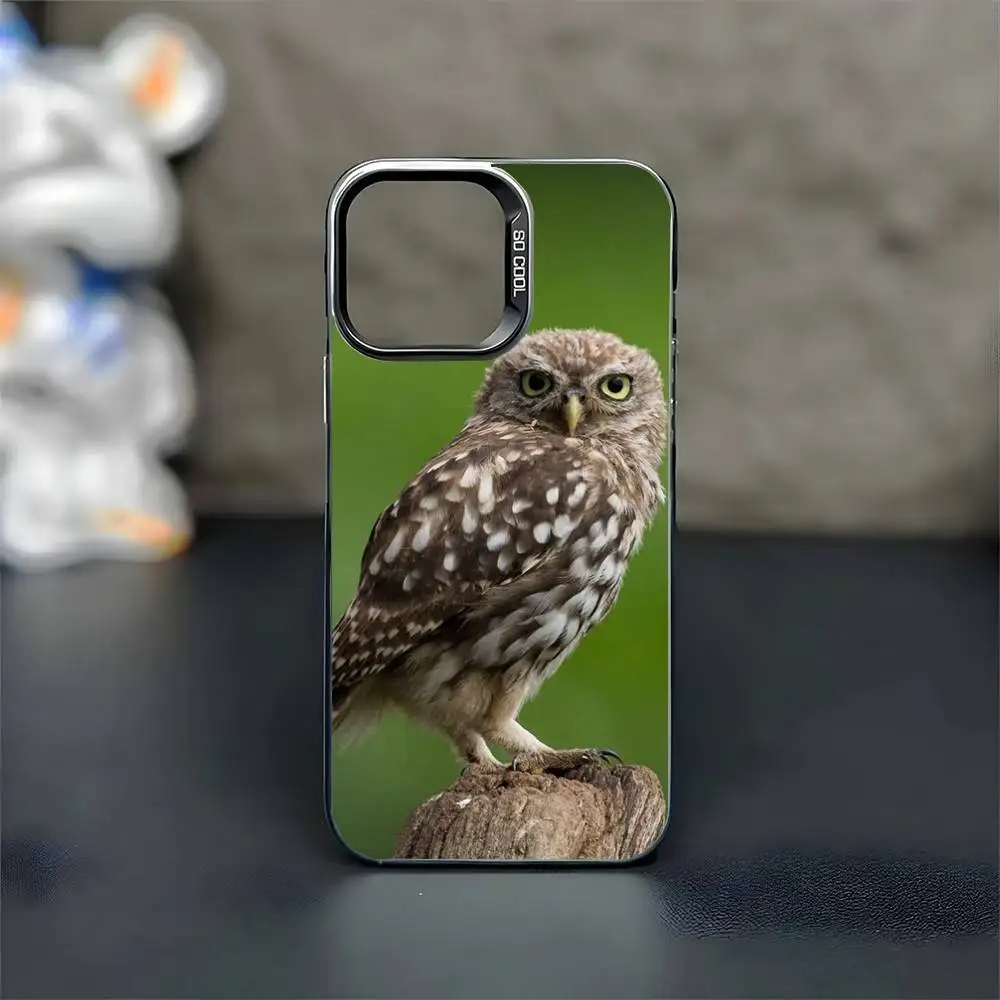 Owl Phone Case For iPhone17,16,15,14,13,12,11 Pro Max Blcak Colorful Silver Plated Inside Phone Case