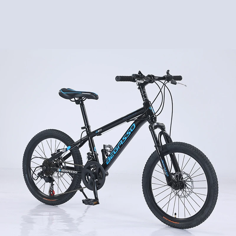 20 Inch Boys High Quality Multi-Speed Mountain Bike with Front Suspension Shock Absorber Disc Brake for Outdoor Sports Cycling