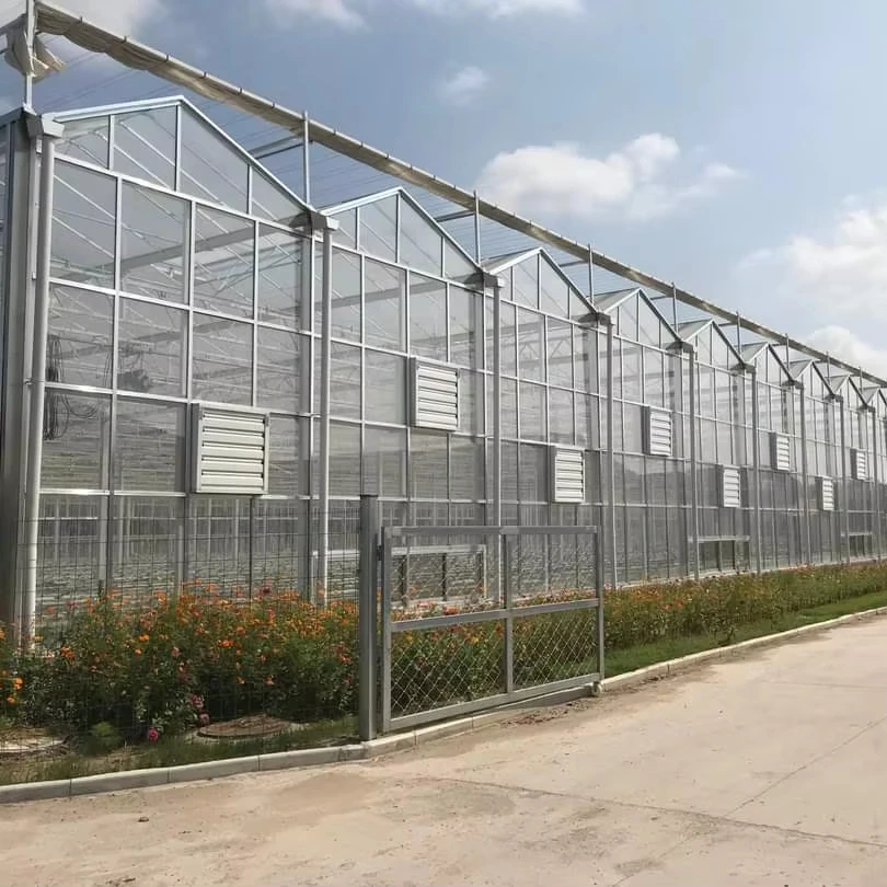 

Customized greenhouseCommercial Grade Tomato Glass Greenhouse -- Automated Climate Control Greenhouse