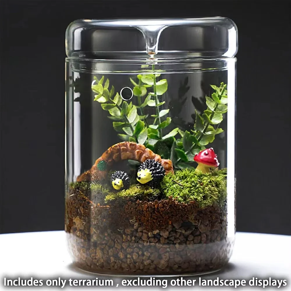 Creative Dew Glass Bottles Collection Vase Micro Landscape Moss Bonsai Terrarium Succulent Decor Home Vase Home Decorations