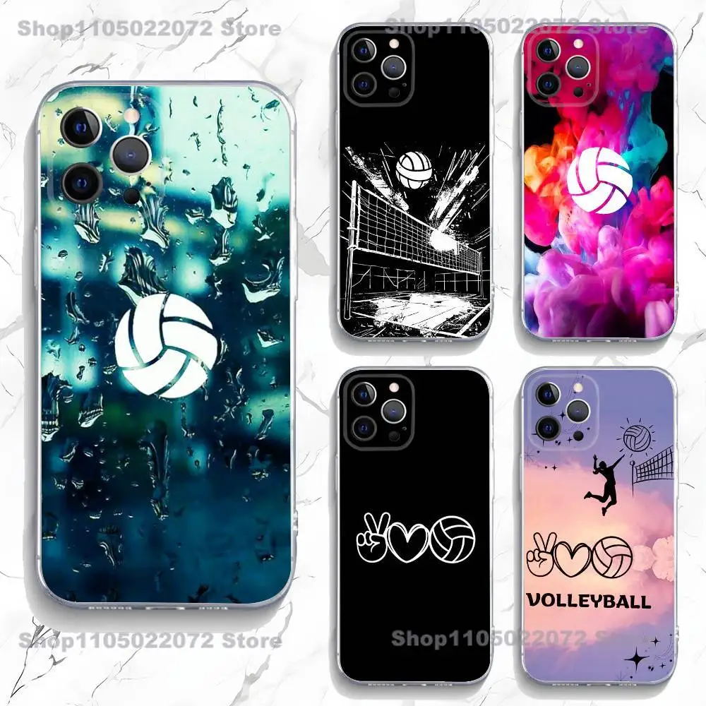 

Painted Art Volleyball Phone Case For iPhone 16,15,Pro,Max,14,Plus,13,12,11,E Mini Air,17,Pro Drop Protection Cover TPU