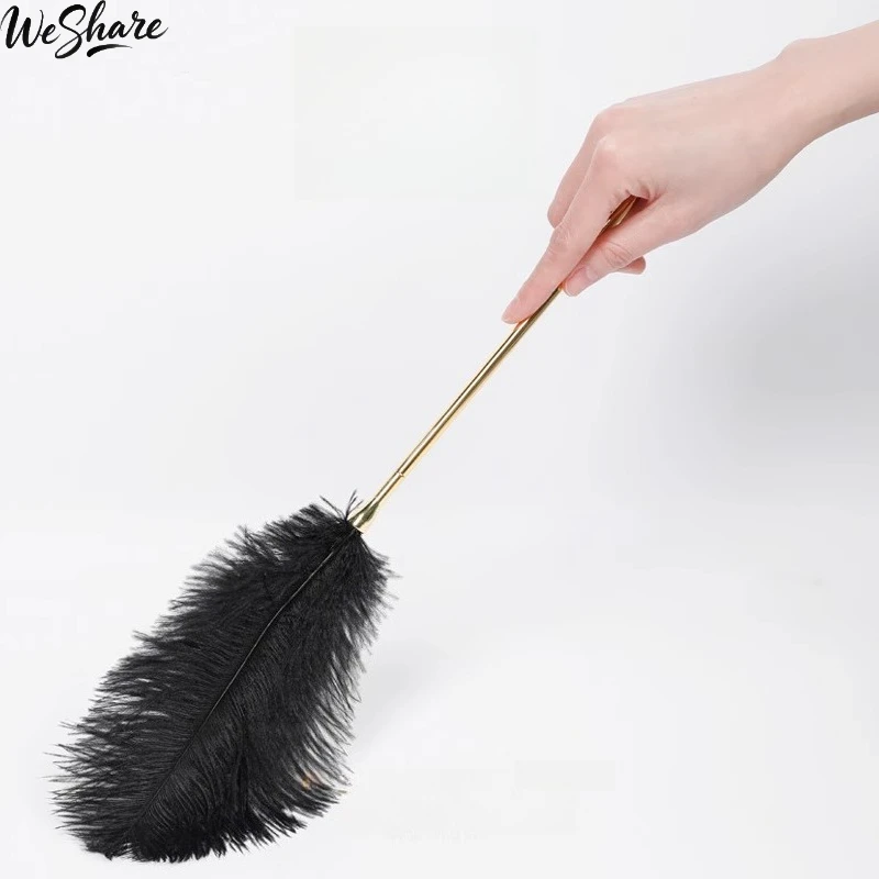 取り外し可能な羽根くすぐり、金属ハンドル付き、ナチュラルブラックフェザー、感覚遊び、BDSM、くすぐり、カップルの前戯用おもちゃ
