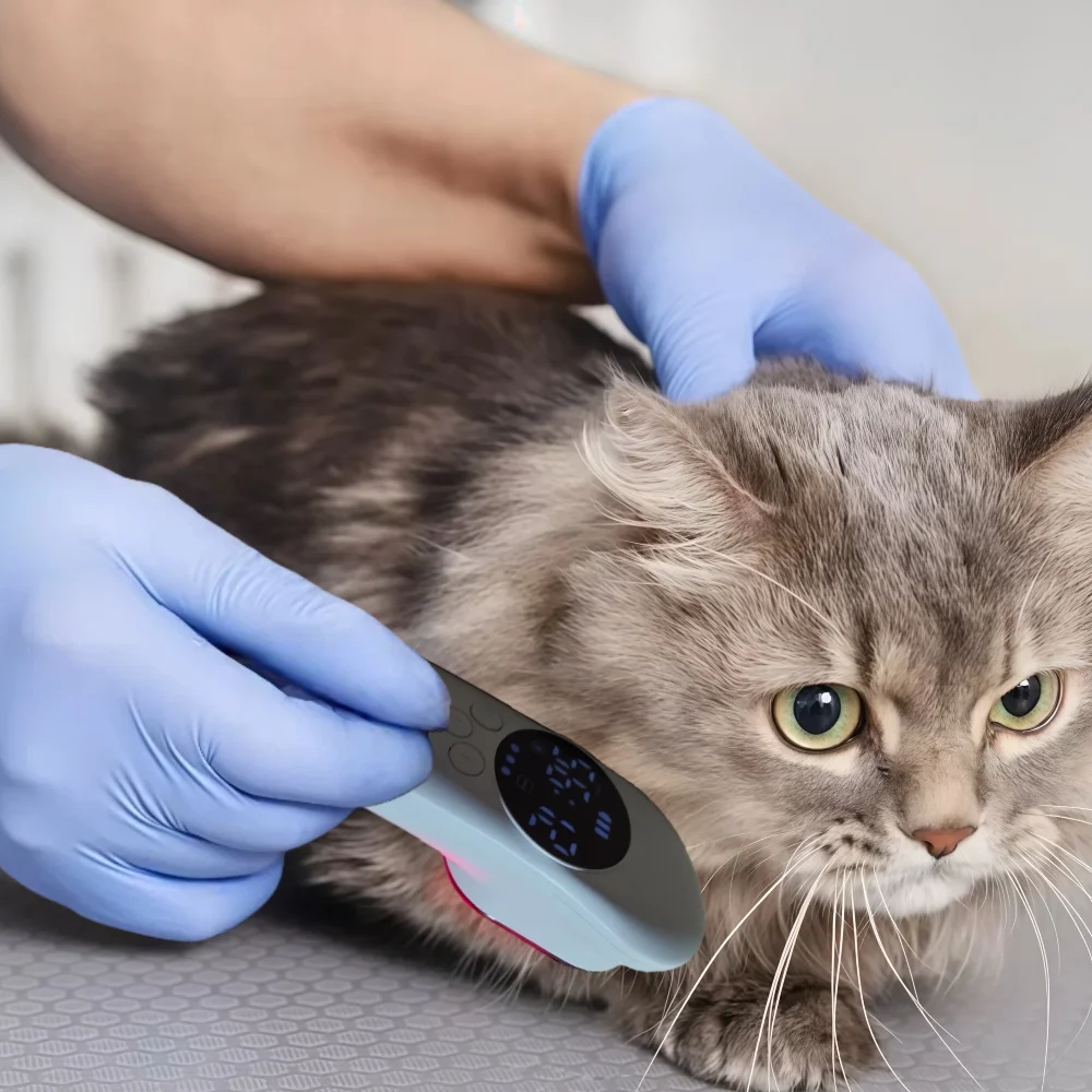 

Dual Wavelength Pet Laser Therapy 650nm 808nm Device for Healing Injuries Sciatica Heel Spurs and Neck Pain in Animals