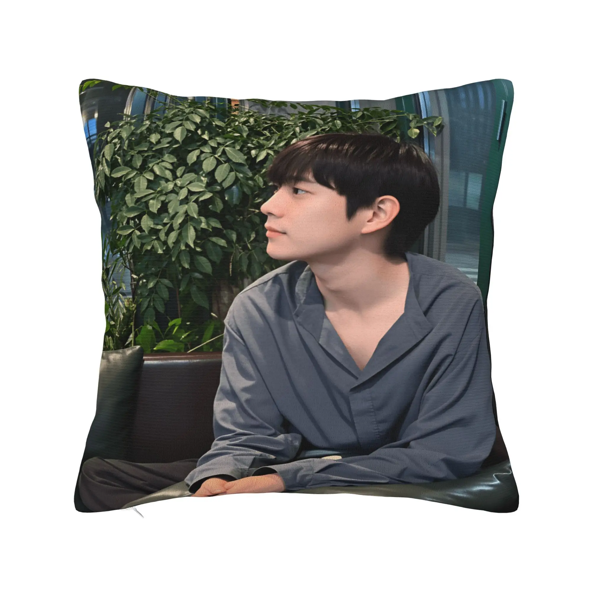 Y-Young-dae Kim Pillow Case  Graphic Pillow Cover Vintage Pillowcases For Sofa Couch Bed Living Room