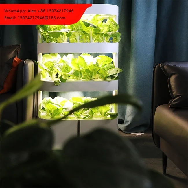 Factory Price Wholesale 4 Layers Hydroponic System Equipment Soilless