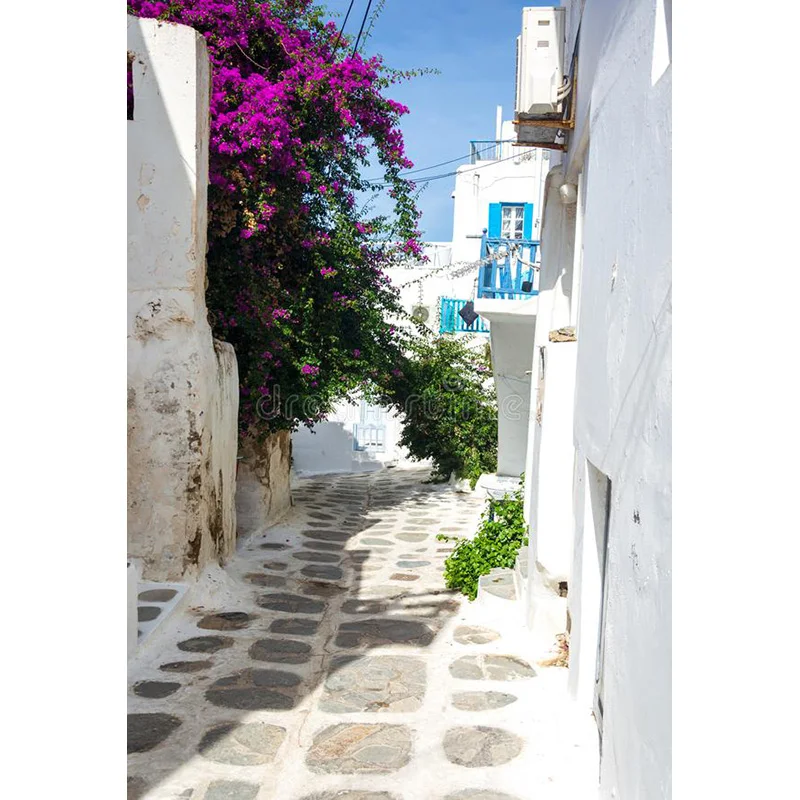 유럽 스타일 레트로 거리 풍경 웨딩 사진, 신생아 및 애완 동물 사진 배경 소품 JDH-09