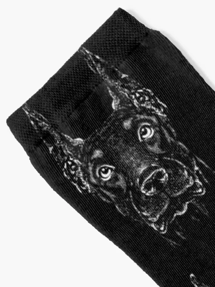 Doberman Head, Doberman Dog Socks cartoon hip hop heated Men Socks Women's