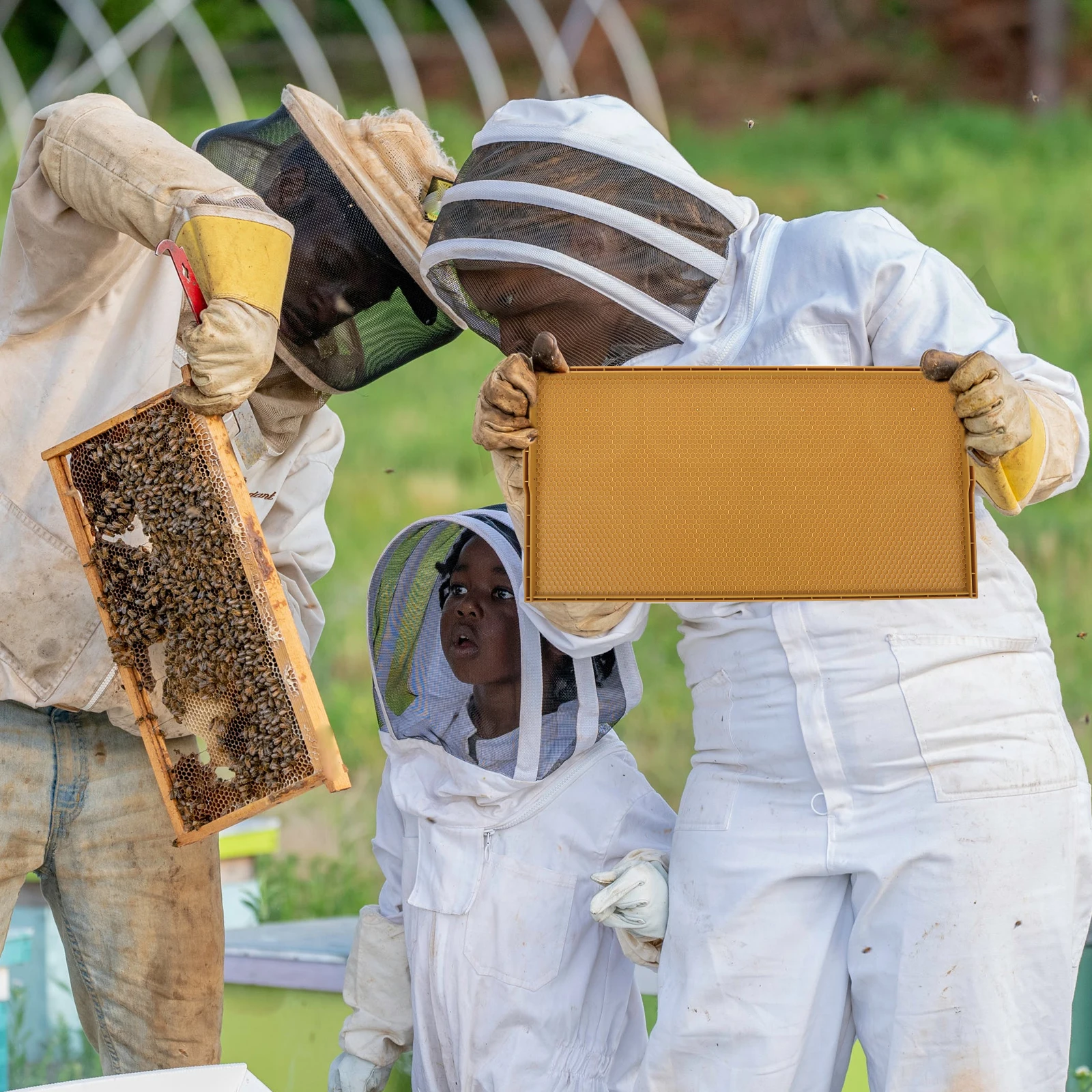 

Plastic Beehive Foundation Sheet Practical Tool for Beekeeping Increase Honey Production Healthy Material Decor Accessories Pet