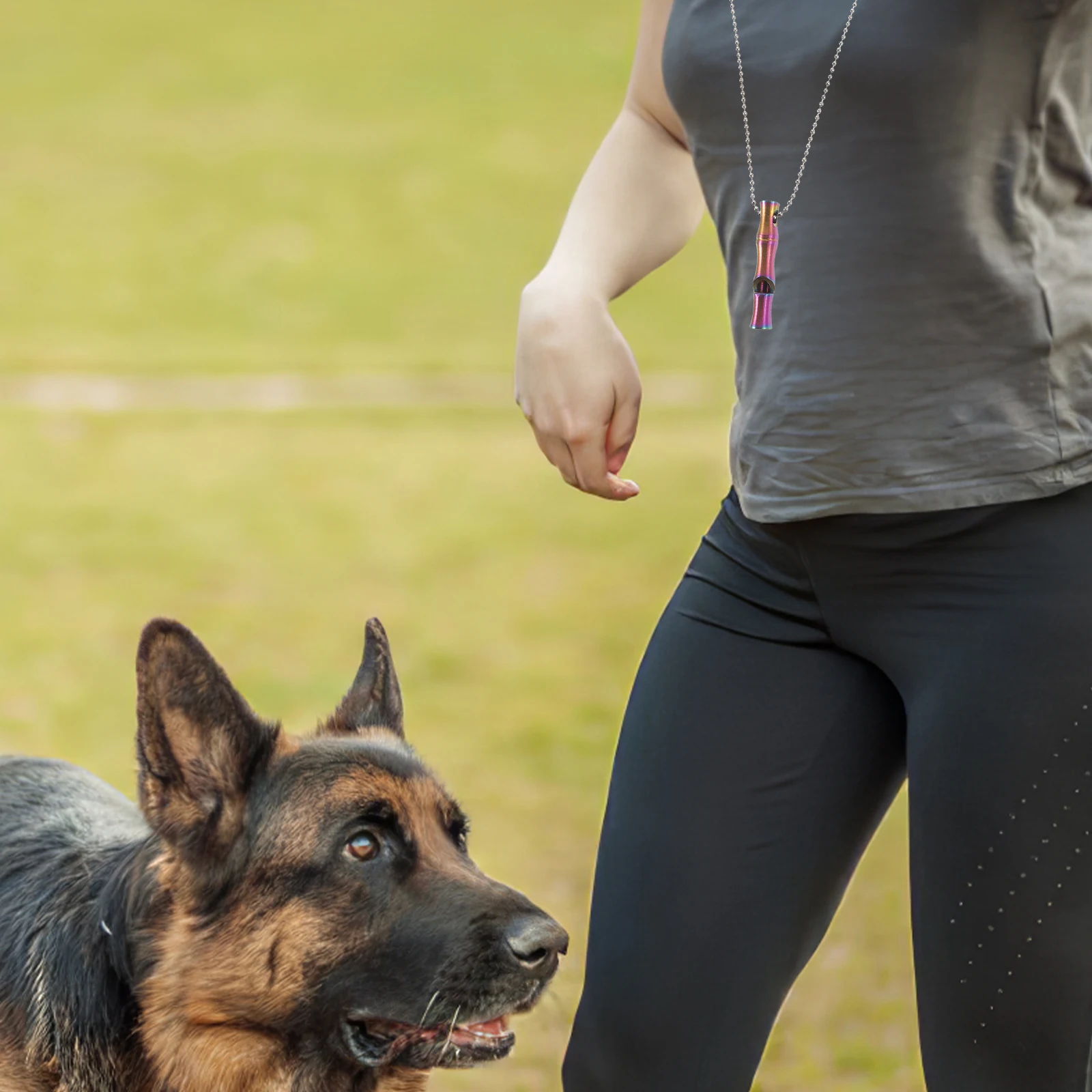 

Pet Training Whistle Stainless Steel Durable Loud Silent Dog Whistles Emergency Camping Hiking Multipurpose Dog Training Whistle