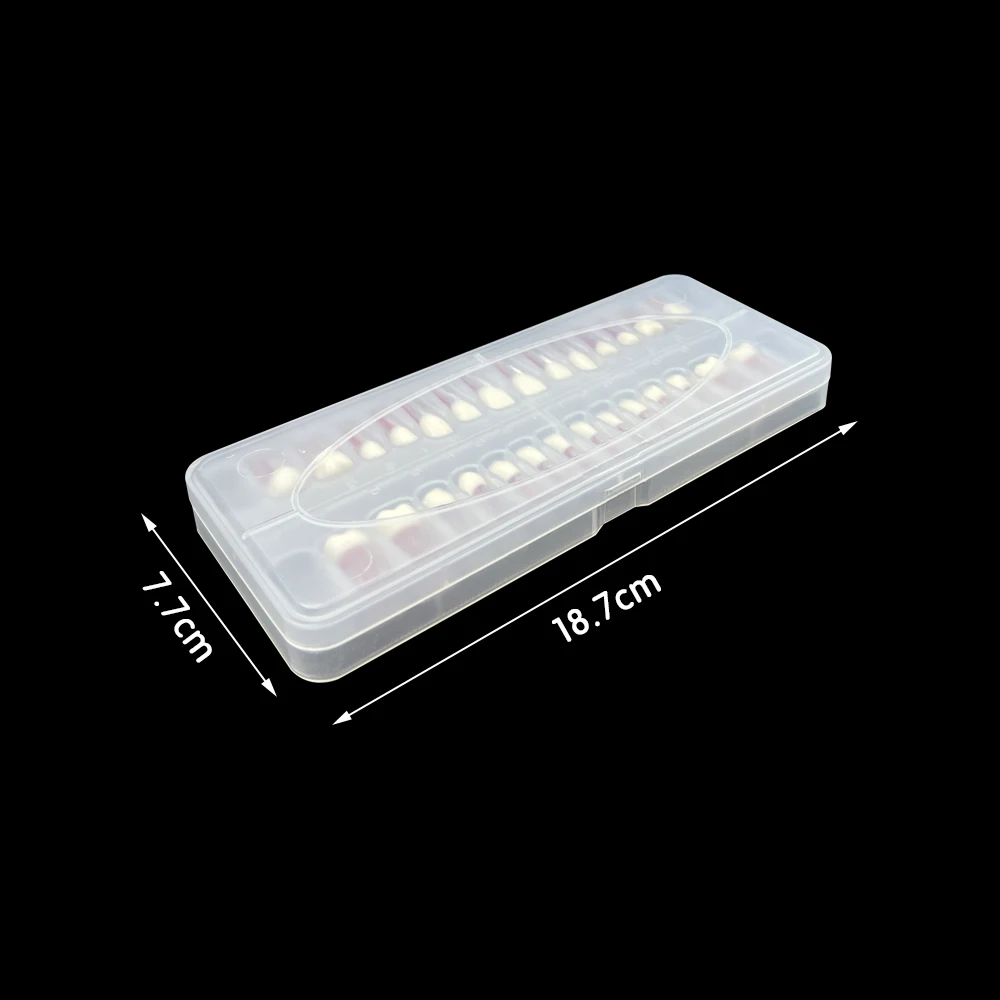 28pcs/set Endodontic Teeth Model Dental Practice Training Root Canal Model RCT Pulp Cavity Endo Teeth Block Dentistry Product