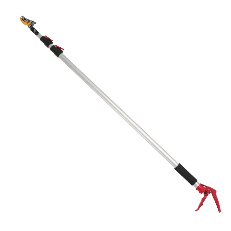 Tall trees grow to fruit picking cutters telescopic tree pruning shears