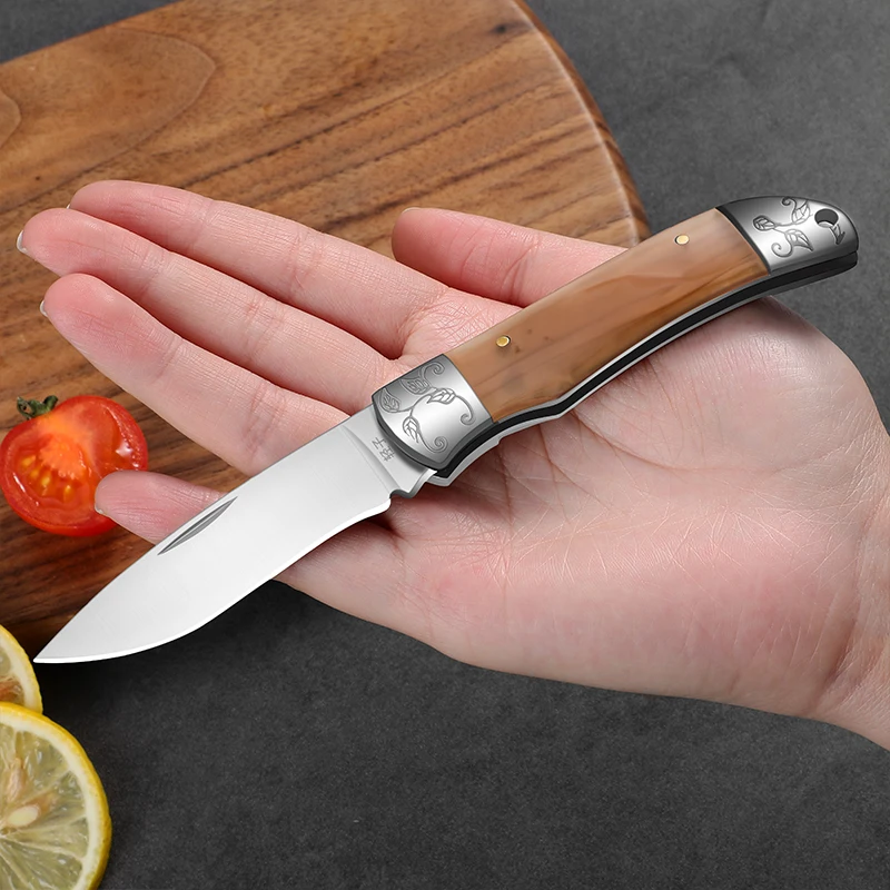 Sharp Fruit Knife, Acrylic Handle Folding Knife, Premium Household Cutting Knife, Kitchen Knife, Kitchen Utensils