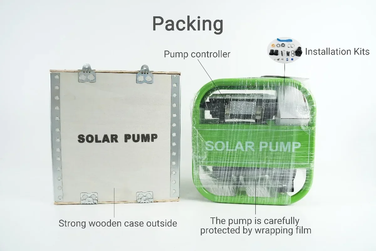 العلامة التجارية Difful 2200 واط ACDC مضخة السطح الشمسي الهجين للري في الفلبين مضخة الضغط العالي مضخة مياه السباحة