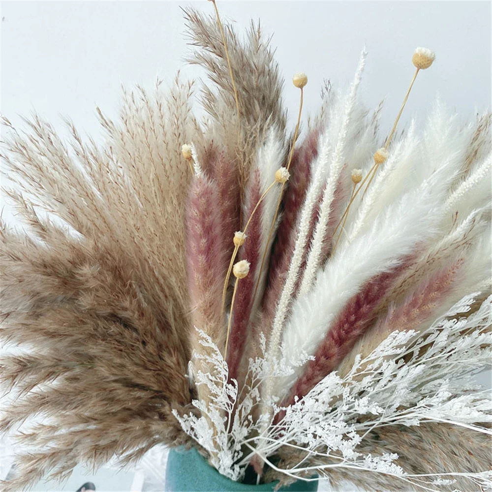 باقة زهور مجففة من فراغميتس، ديكور منزلي بوهو، ديكور رمضان، باقة عشب بامبا الطبيعية، ديكور الزفاف، 80 قطعة #3