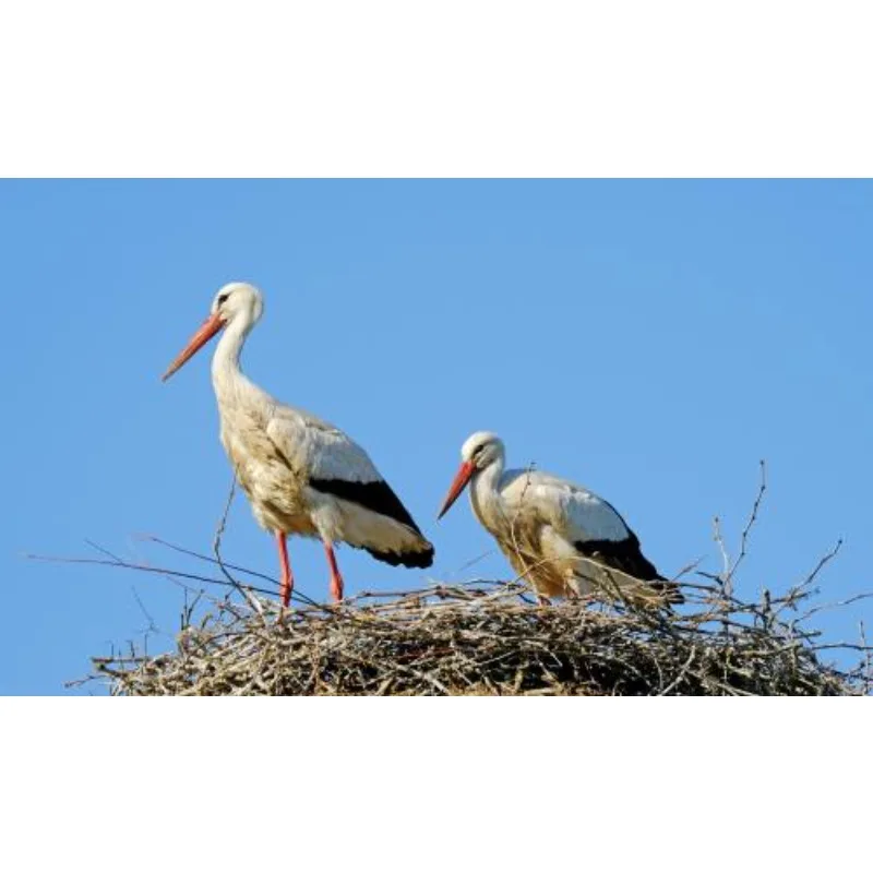 Hobbywing Seaking 1…