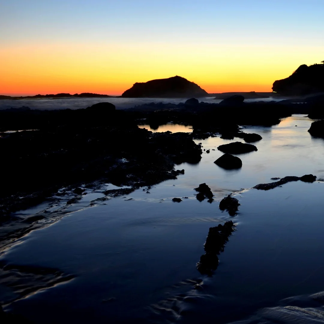 Yj Virtual Instrume… - image