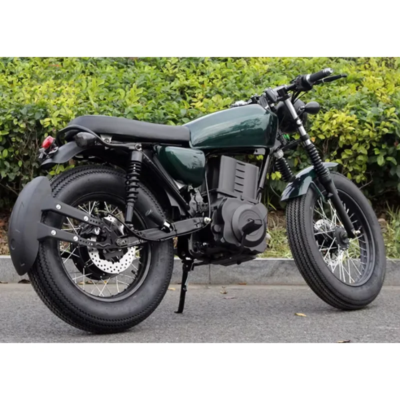 ستروفا دراجة نارية 2025 الصينية موتو إليتريكا الدراجات النارية دراجات نارية جديدة 120 كجم سرعة الدراجة سباق دراجة نارية كهربائية 10000 واط في الحيوانات الأليفة