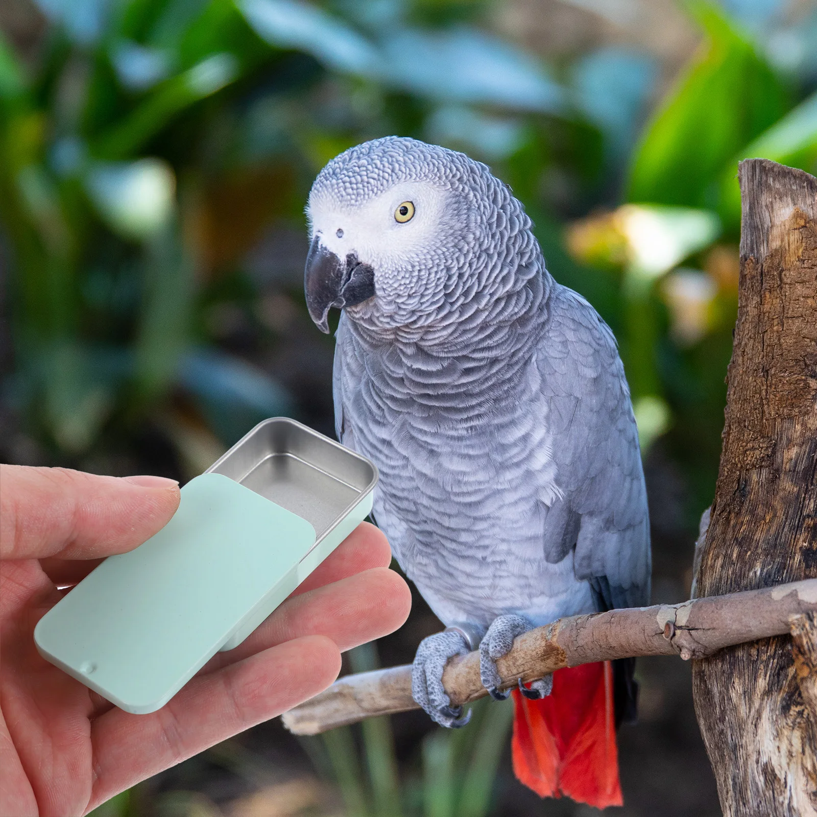 

2pcs Metal Bird Feeding Boxes Waterproof Slide Cover Easy to Add Food Outdoor Bird Feeders Containers for Training Pets