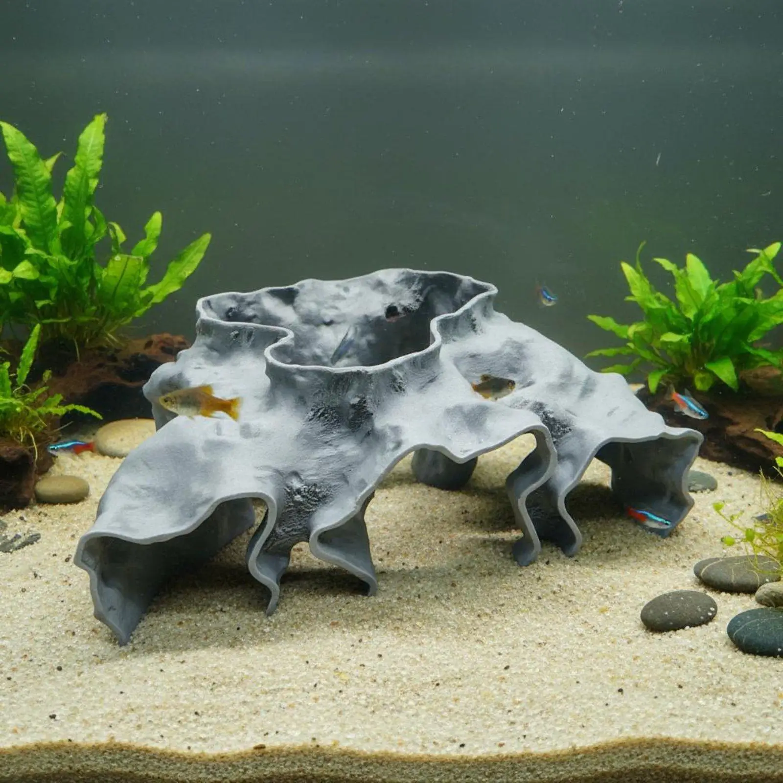 Aquarium Cave Decoration Observation Window Aquarium Hiding Cave Easy to Clean Crustacean Breeding Fishes Tank Ornament view 6