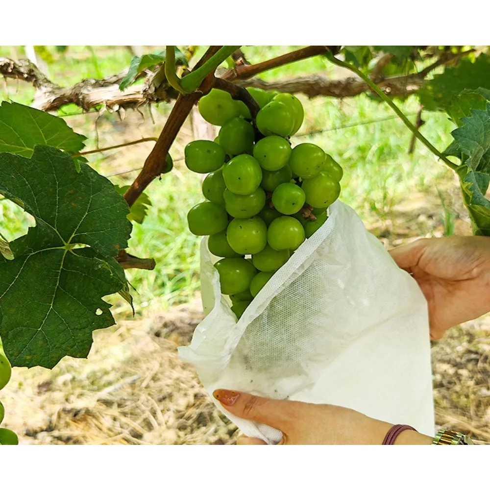 100Pcs 20x30cm Garden Fruit Protection Bags for Grapes Mesh Bags Against Insect Pest Bird Proof Drawstring Plant Net Bags