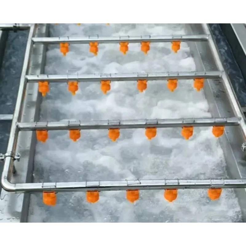 Customized High Efficiency Industrial Vegetable Mango Cleaning Date Blueberry Strawberry Fruit Washer Bubble Washing Machine