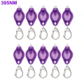 395nm 10pc
